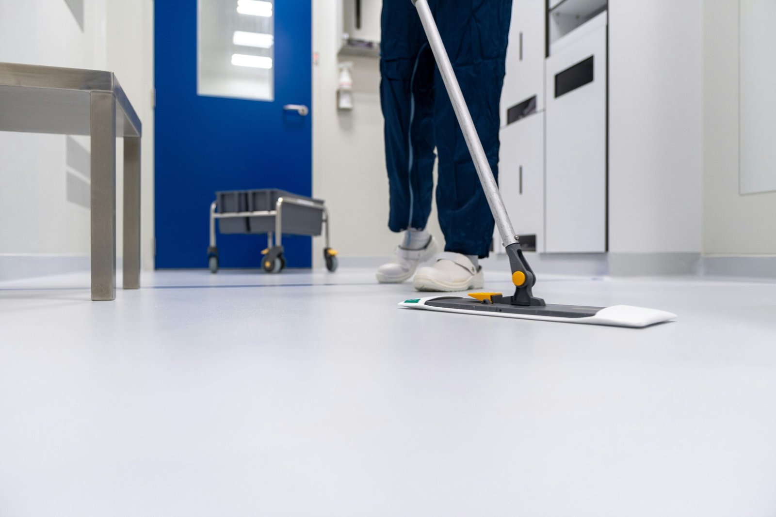 Professional bond cleaning service in Brisbane